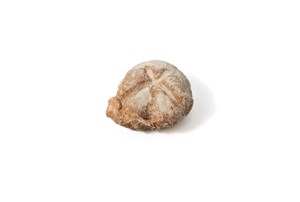 Image description is not available for 2000.9.3